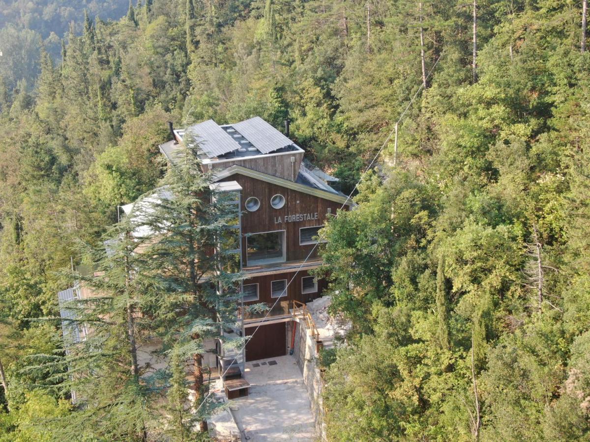 La Forestale Luxury Ecolodge B&B Primo Piano 악콸라냐 외부 사진